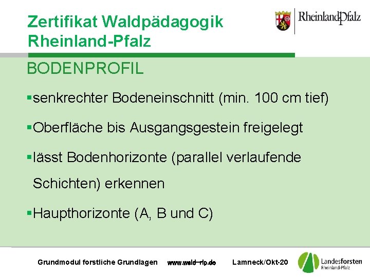 Zertifikat Waldpädagogik Rheinland-Pfalz BODENPROFIL §senkrechter Bodeneinschnitt (min. 100 cm tief) §Oberfläche bis Ausgangsgestein freigelegt