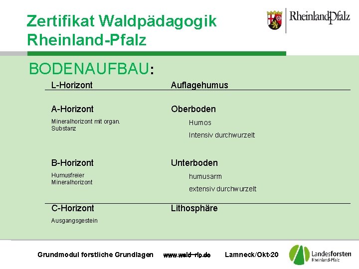Boden Zertifikat Waldpädagogik Rheinland-Pfalz BODENAUFBAU: L-Horizont Auflagehumus A-Horizont Oberboden Mineralhorizont mit organ. Substanz B-Horizont