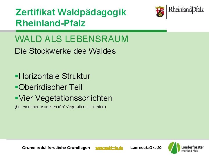 Zertifikat Waldpädagogik Rheinland-Pfalz WALD ALS LEBENSRAUM Die Stockwerke des Waldes §Horizontale Struktur §Oberirdischer Teil