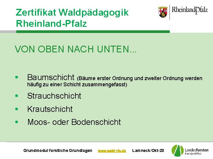 Zertifikat Waldpädagogik Rheinland-Pfalz VON OBEN NACH UNTEN. . . § Baumschicht (Bäume erster Ordnung