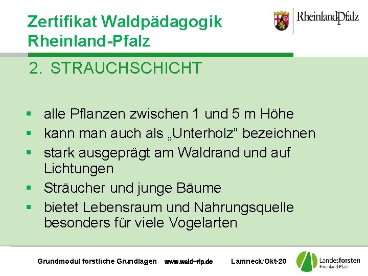 Zertifikat Waldpädagogik Rheinland-Pfalz 2. STRAUCHSCHICHT § alle Pflanzen zwischen 1 und 5 m Höhe