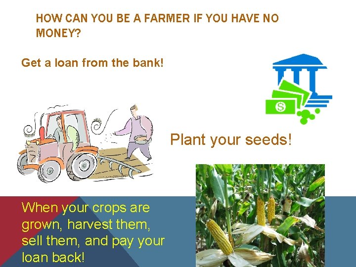 HOW CAN YOU BE A FARMER IF YOU HAVE NO MONEY? Get a loan