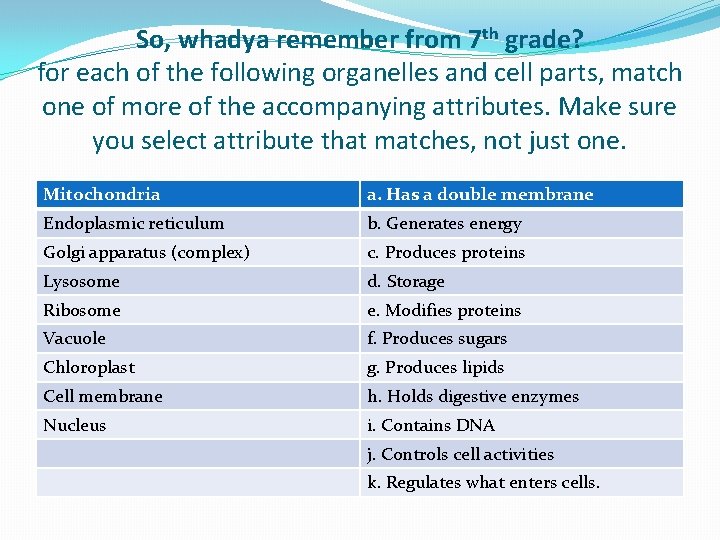 So, whadya remember from 7 th grade? for each of the following organelles and