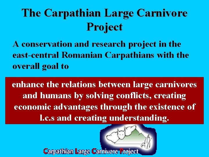 The Carpathian Large Carnivore Project A conservation and research project in the east-central Romanian