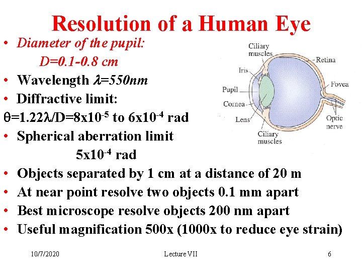 Resolution of a Human Eye • Diameter of the pupil: D=0. 1 -0. 8
