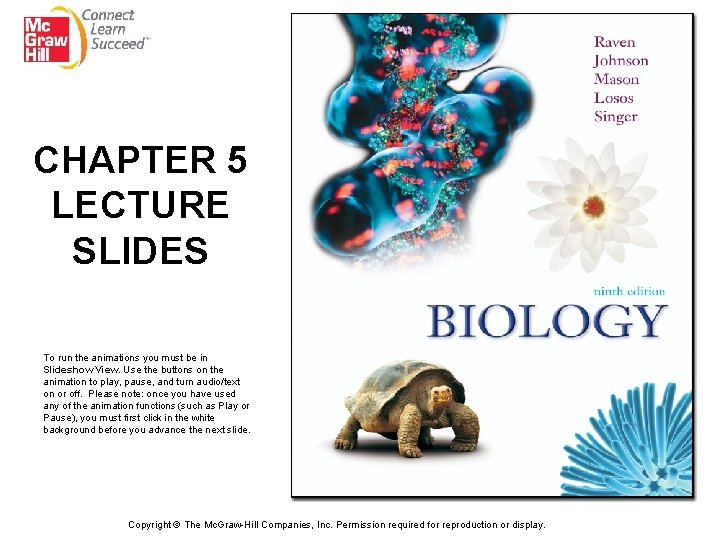 CHAPTER 5 LECTURE SLIDES To run the animations