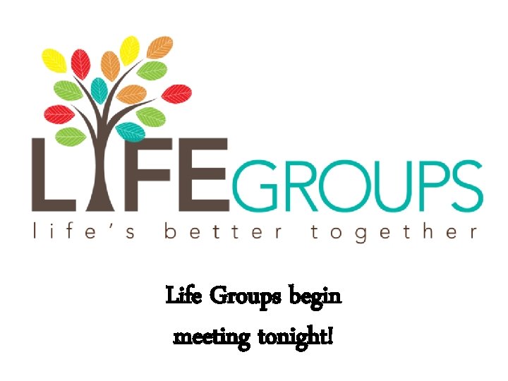 Life Groups begin meeting tonight! 