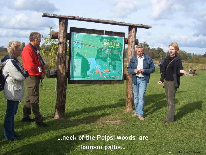 …neck of the Peipsi woods are tourism paths… Foto: Kärt Leppik 