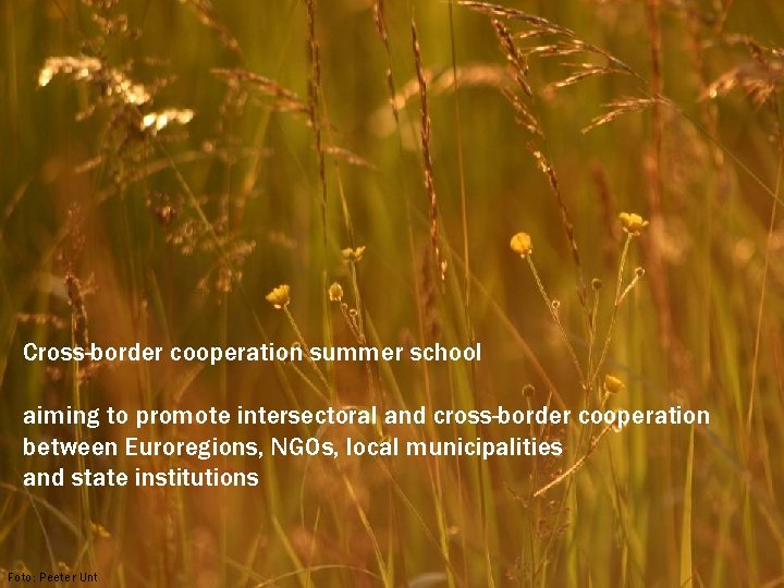 Cross-border cooperation summer school aiming to promote intersectoral and cross-border cooperation between Euroregions, NGOs,