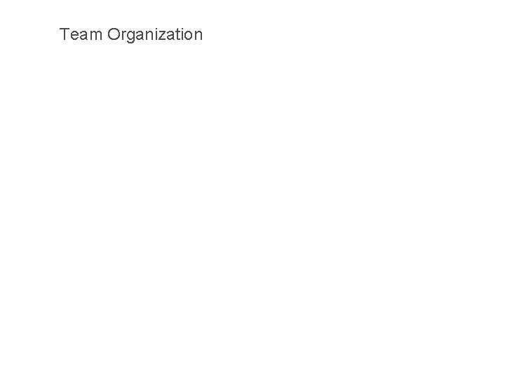 Team Organization Team Organization