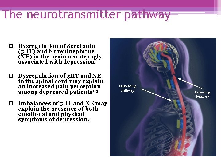 The neurotransmitter pathway Dysregulation of Serotonin (5 HT) and Norepinephrine (NE) in the brain