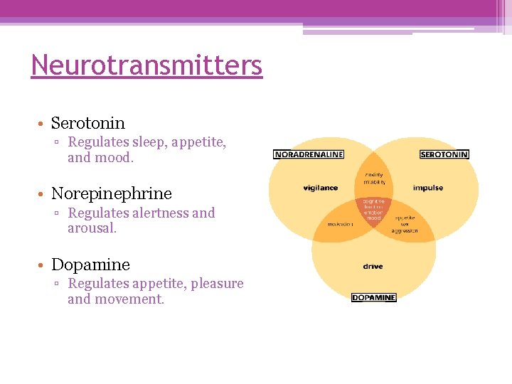 Neurotransmitters • Serotonin ▫ Regulates sleep, appetite, and mood. • Norepinephrine ▫ Regulates alertness