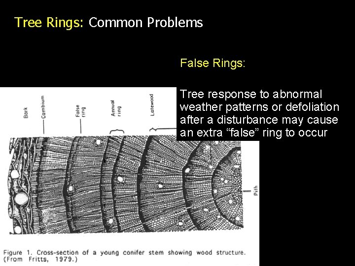 FOR 274 Forest Measurements and Inventory Tree Age