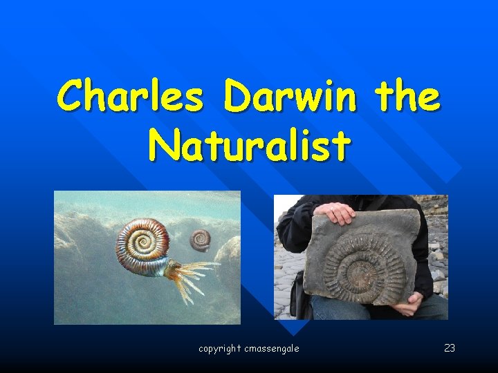 Charles Darwin the Naturalist copyright cmassengale 23 