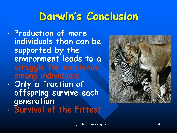 Darwin’s Conclusion • • • Production of more individuals than can be supported by