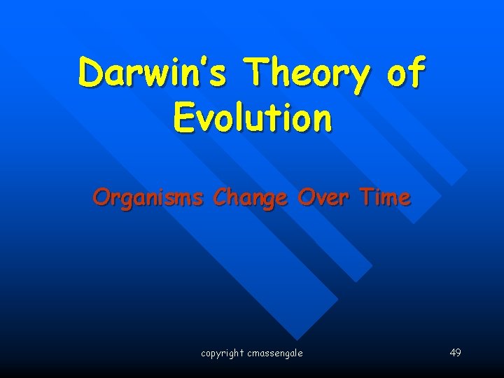 Darwin’s Theory of Evolution Organisms Change Over Time copyright cmassengale 49 