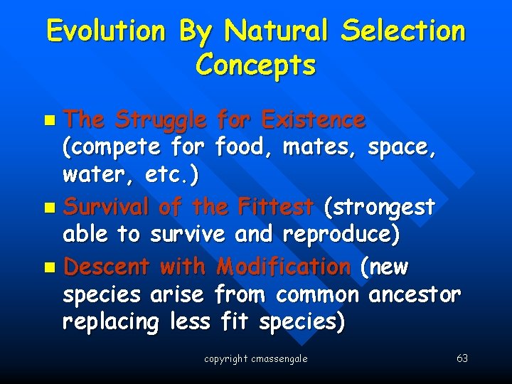 Evolution By Natural Selection Concepts The Struggle for Existence (compete for food, mates, space,
