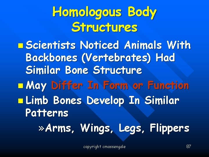 Homologous Body Structures n Scientists Noticed Animals With Backbones (Vertebrates) Had Similar Bone Structure