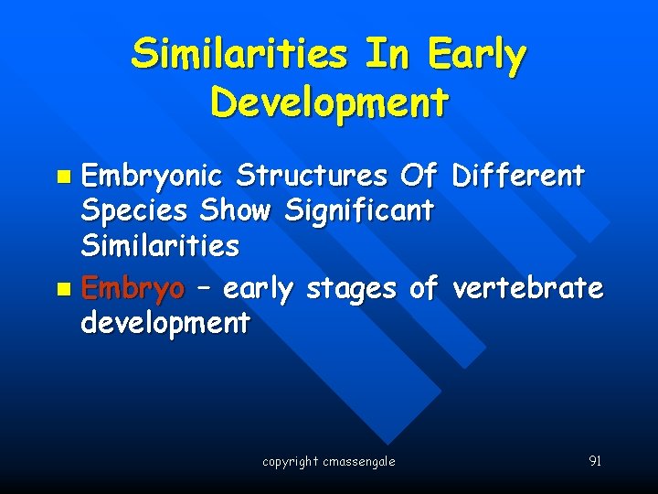 Similarities In Early Development Embryonic Structures Of Different Species Show Significant Similarities n Embryo