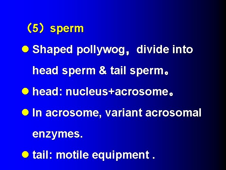 （5）sperm l Shaped pollywog，divide into head sperm & tail sperm。 l head: nucleus+acrosome。 l