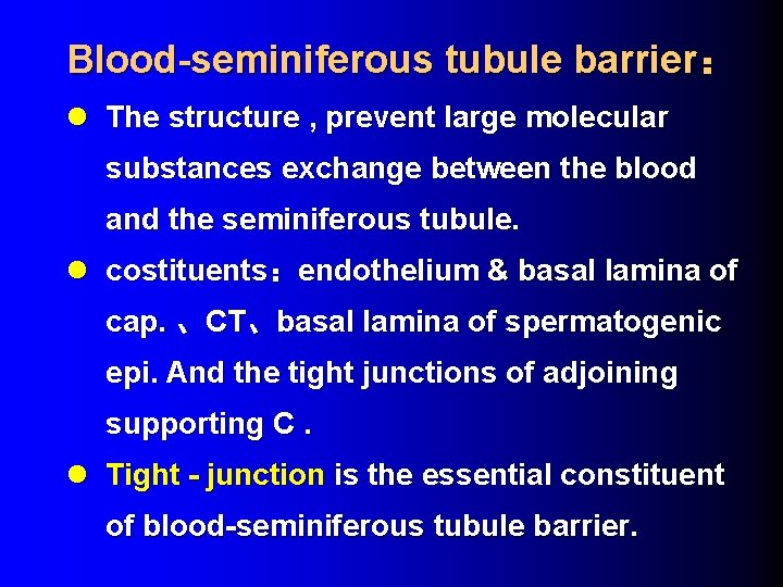 Blood-seminiferous tubule barrier： l The structure , prevent large molecular substances exchange between the