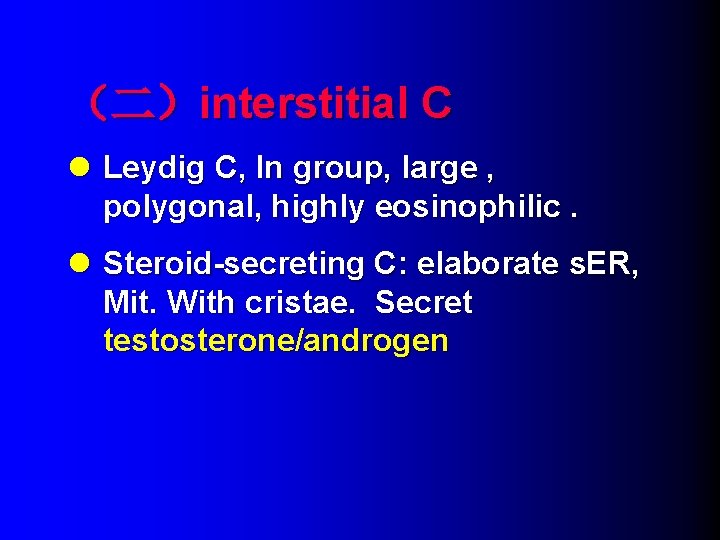 （二）interstitial C l Leydig C, In group, large , polygonal, highly eosinophilic. l Steroid-secreting