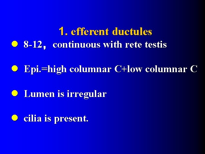 1. efferent ductules l 8 -12，continuous with rete testis l Epi. =high columnar C+low