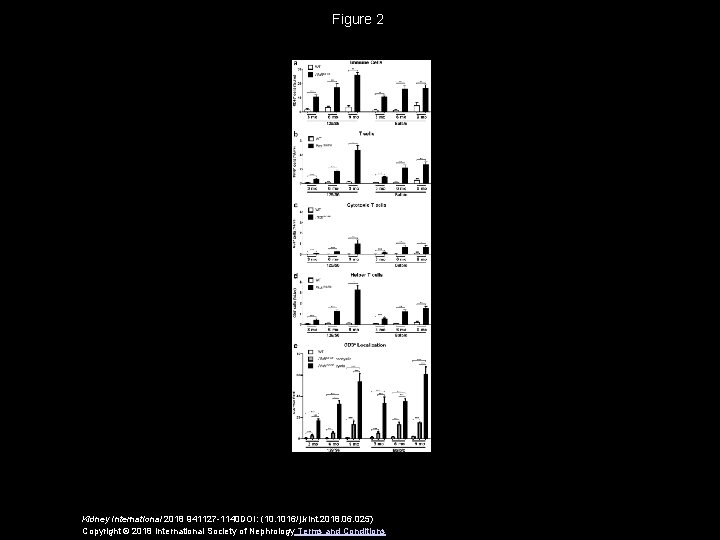 Figure 2 Kidney International 2018 941127 -1140 DOI: (10. 1016/j. kint. 2018. 06. 025)