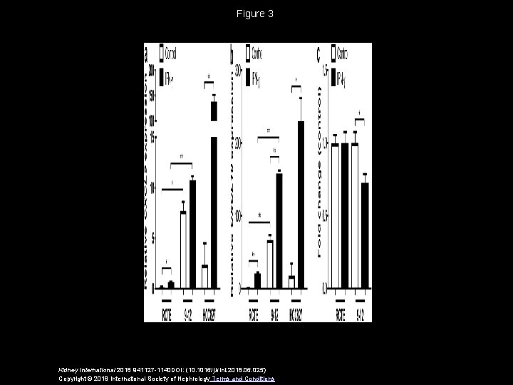 Figure 3 Kidney International 2018 941127 -1140 DOI: (10. 1016/j. kint. 2018. 06. 025)