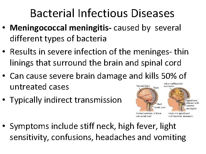Bacterial Infectious Diseases • Meningococcal meningitis- caused by several different types of bacteria •
