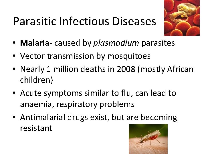 Parasitic Infectious Diseases • Malaria- caused by plasmodium parasites • Vector transmission by mosquitoes