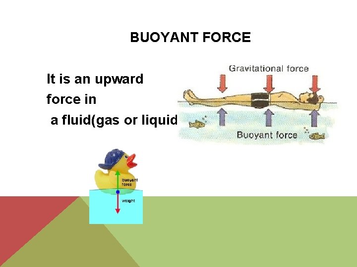 BUOYANT FORCE It is an upward force in a fluid(gas or liquid) 