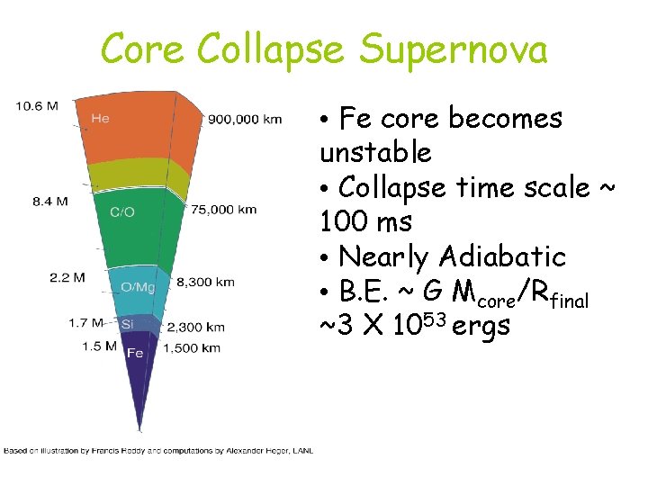 Core Collapse Supernova • Fe core becomes unstable • Collapse time scale ~ 100