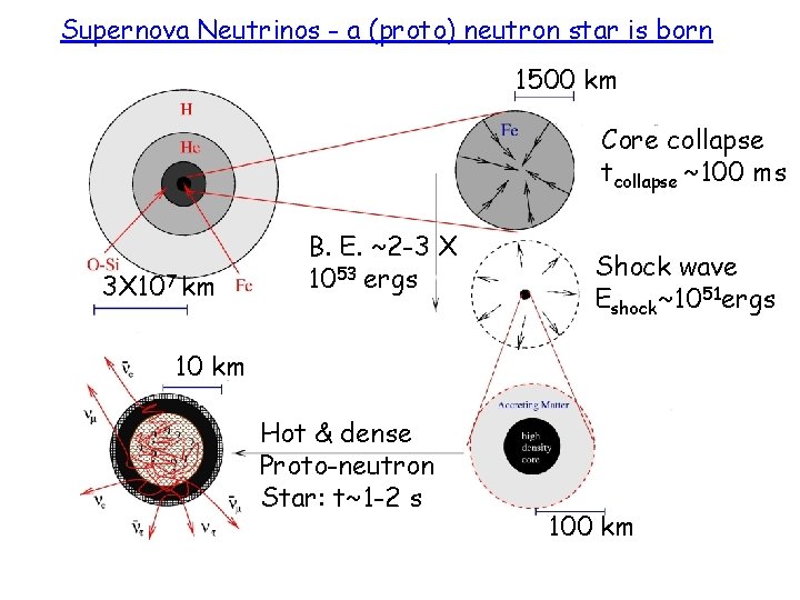 Supernova Neutrinos - a (proto) neutron star is born 1500 km Core collapse tcollapse