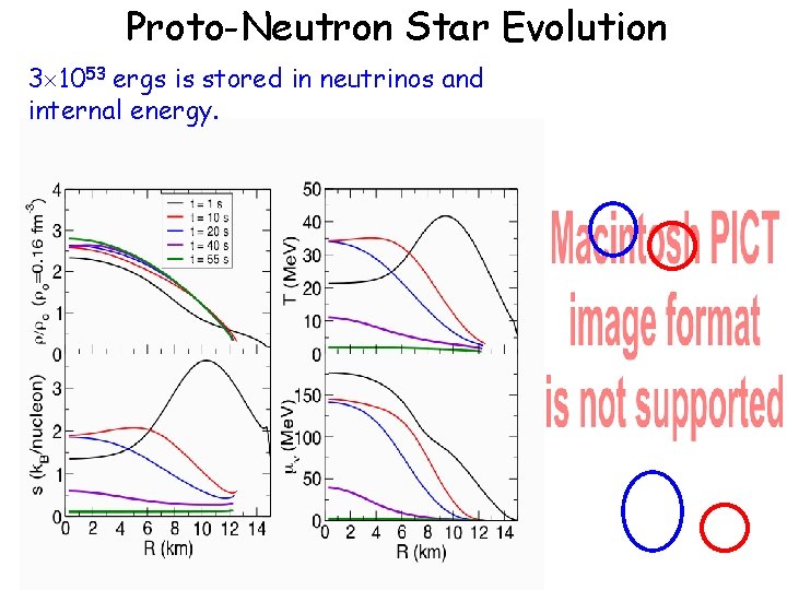 Proto-Neutron Star Evolution 3 1053 ergs is stored in neutrinos and internal energy. 
