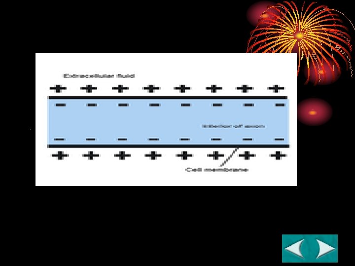 Figure 35 -7 An Impulse Section 35 -2 . 