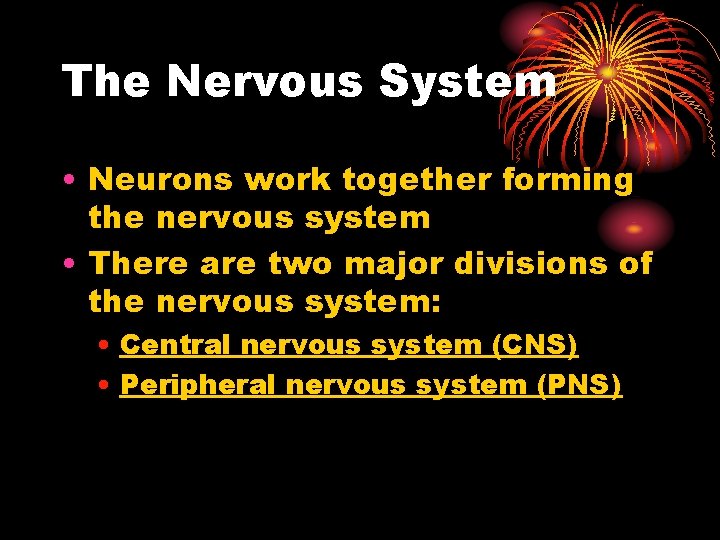 The Nervous System • Neurons work together forming the nervous system • There are