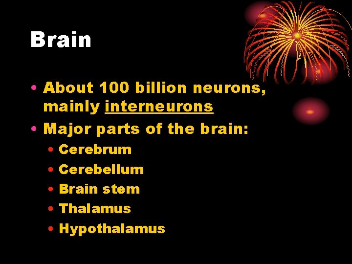 Brain • About 100 billion neurons, mainly interneurons • Major parts of the brain: