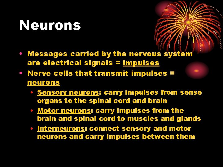 Neurons • Messages carried by the nervous system are electrical signals = impulses •