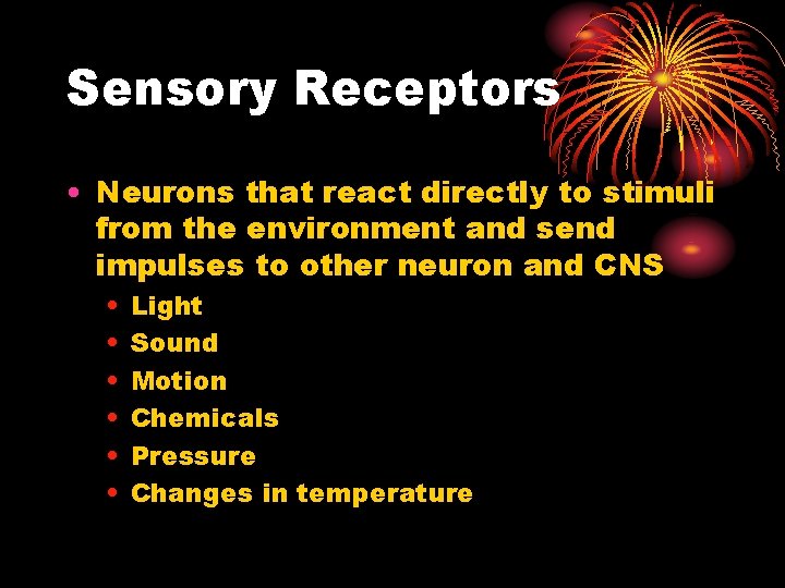 Sensory Receptors • Neurons that react directly to stimuli from the environment and send