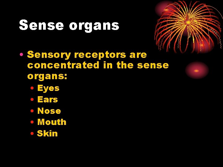 Sense organs • Sensory receptors are concentrated in the sense organs: • Eyes •