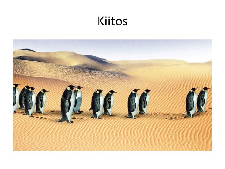 Kiitos 