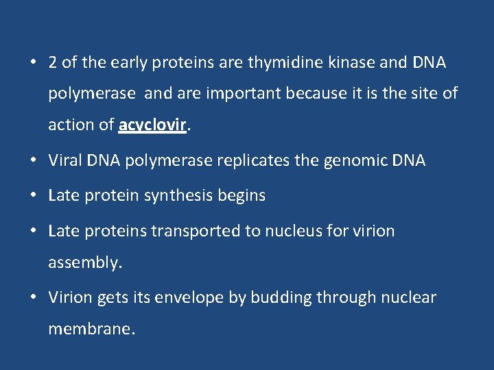  • 2 of the early proteins are thymidine kinase and DNA polymerase and