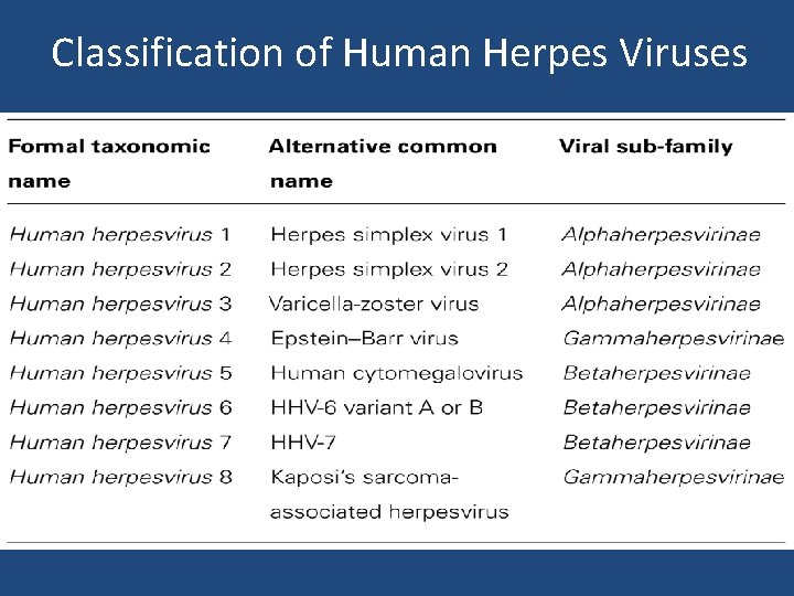 Classification of Human Herpes Viruses 