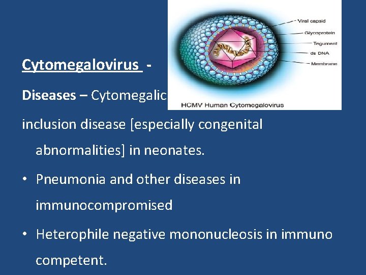 Cytomegalovirus Diseases – Cytomegalic inclusion disease [especially congenital abnormalities] in neonates. • Pneumonia and