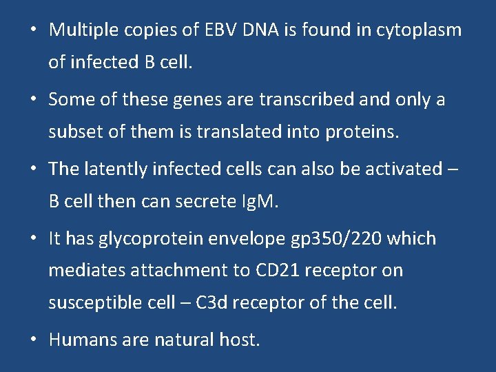  • Multiple copies of EBV DNA is found in cytoplasm of infected B