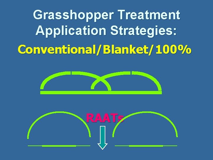 Grasshopper Treatment Application Strategies: Conventional/Blanket/100% RAATs 