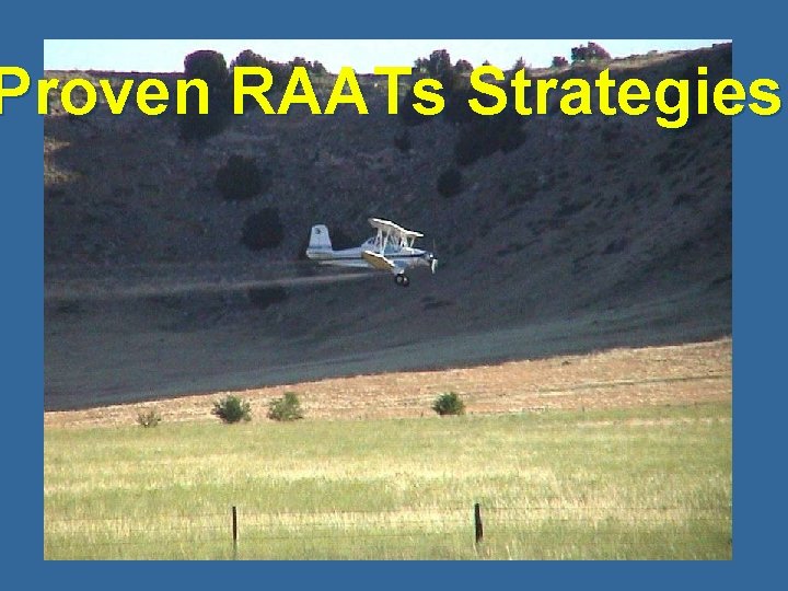 Proven RAATs Strategies 