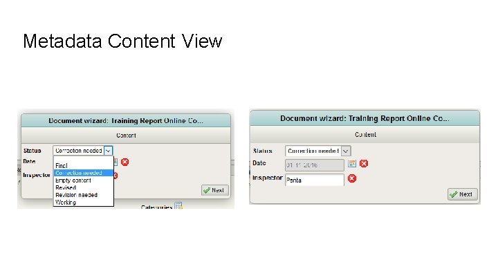 Metadata Content View 