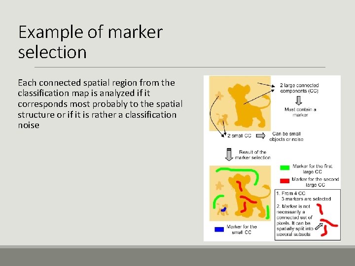 Example of marker selection Each connected spatial region from the classification map is analyzed